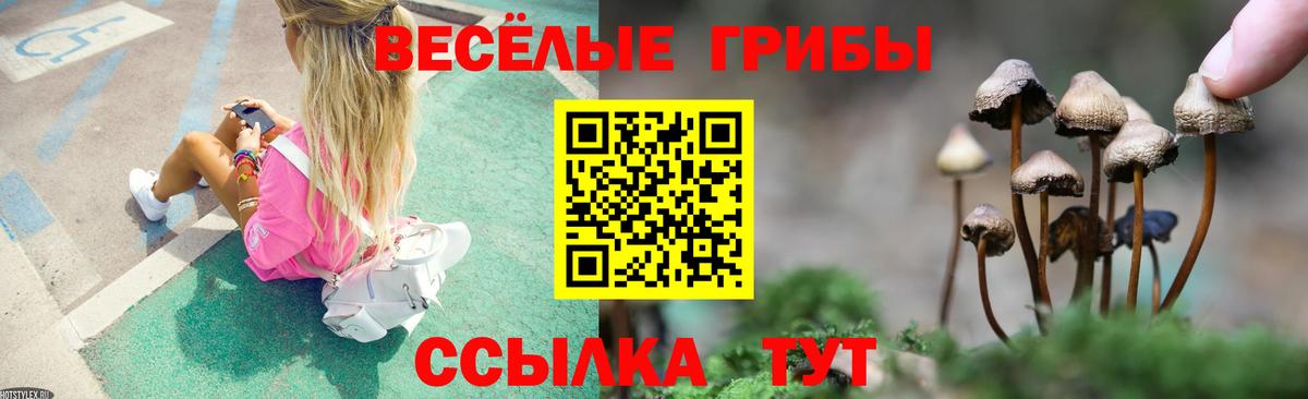 Псилоцибиновые грибы мухоморы  Псилоцибиновые грибы MAGIC MUSHROOMS  купить наркотики цена  Вход с VPN  Кизилюрт 